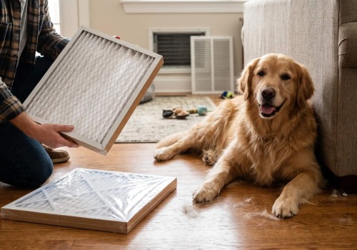 What Air Filter Rating Makes Sense for a Home With a Shedding Dog?